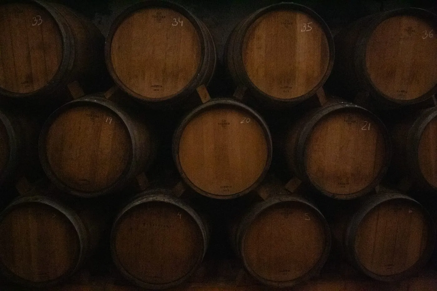Bodega con barriles