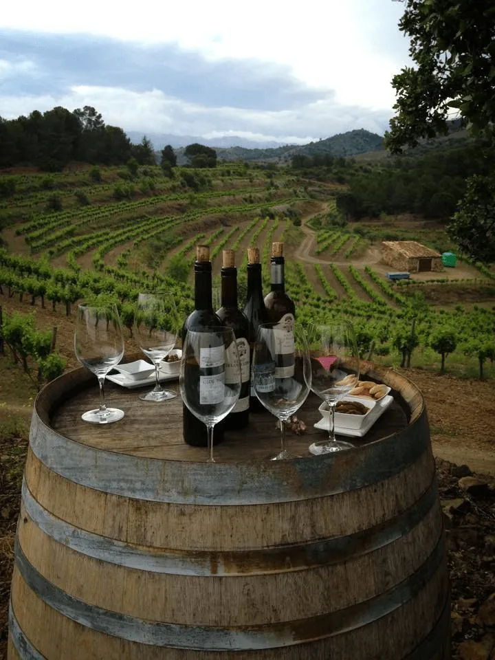 Botellas y copas de vino del Celler Can Pagès sobre un barril, con viñedo al fondo
