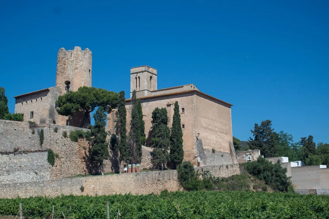 Patrimonio de piedra entre los viñedos de Can Pagès