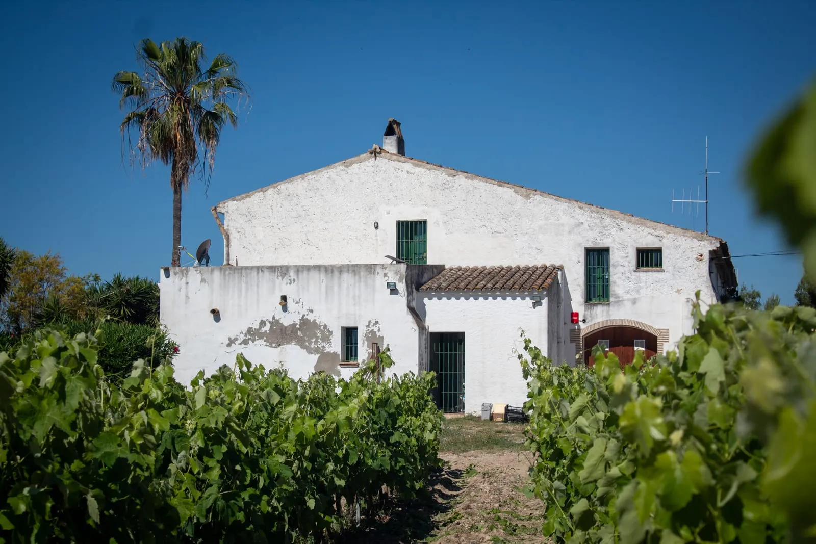 La Masieta